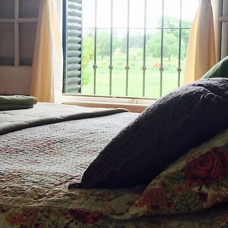 ピラル The Polo House Bed & Breakfast エクステリア 写真